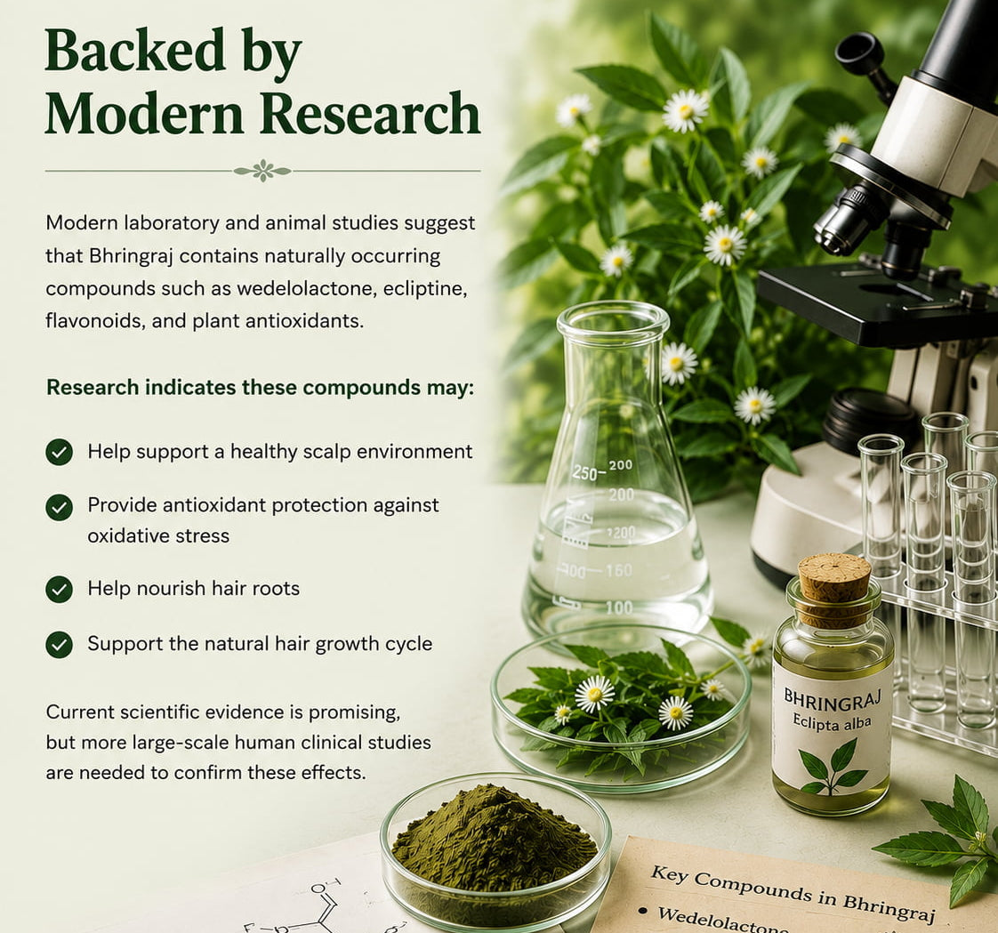 Pure Ayurvedic Power — SnehVeda Bhringraj Hair Care Benefits