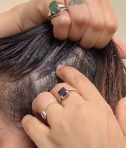 Pure Ayurvedic Power — SnehVeda Bhringraj Hair Care Benefits