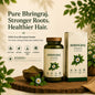 Snehveda Bhringraj Powder